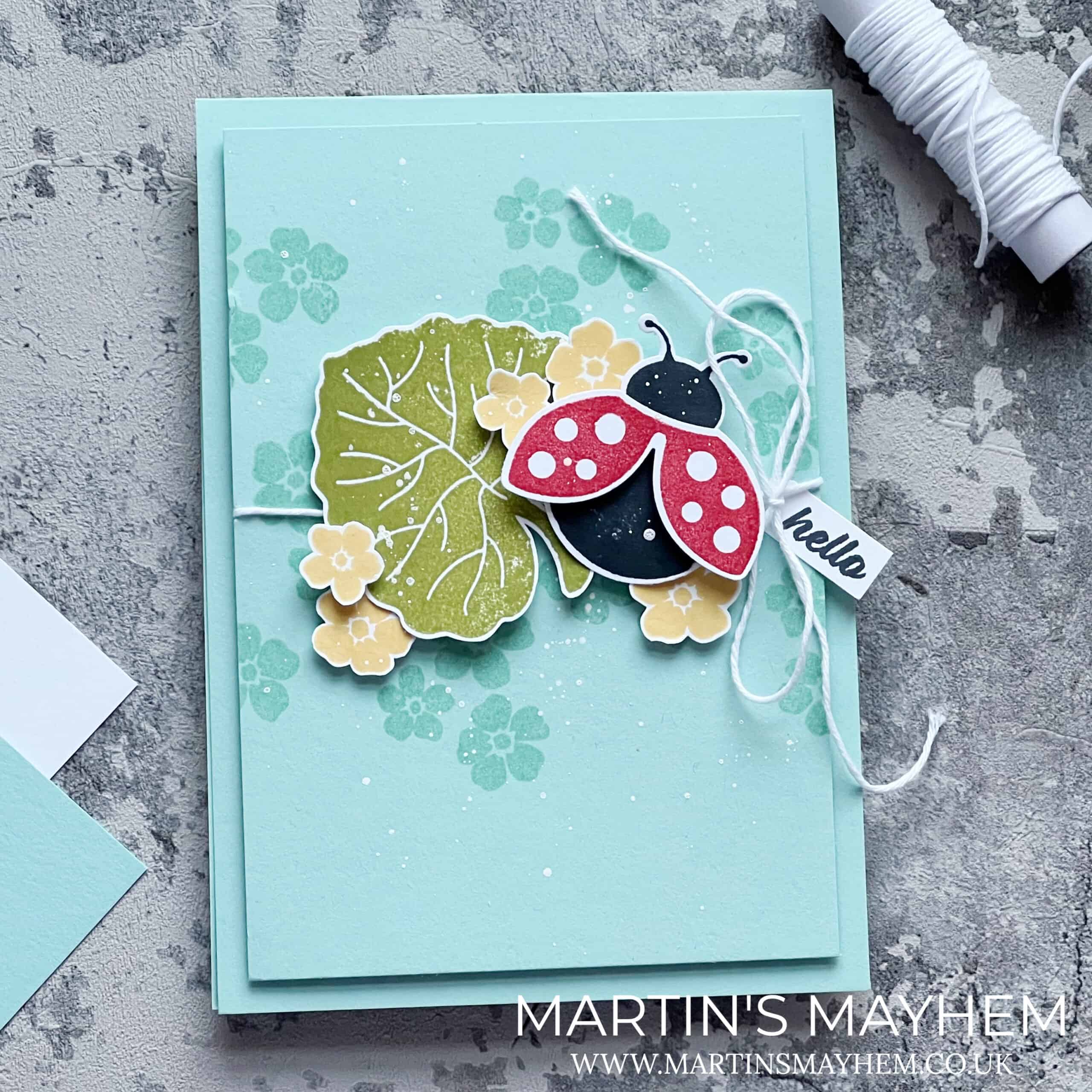 Stampin' Up! Hello Ladybug Bundle - Martin's Mayhem